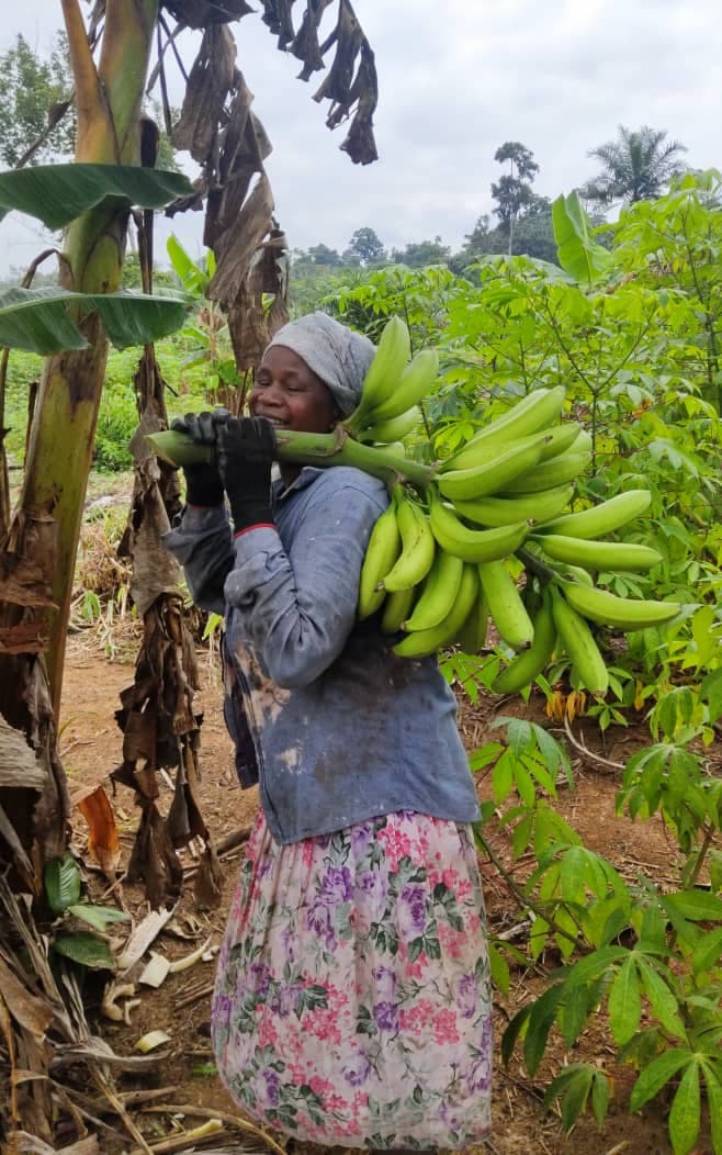 Membre de CAPEN portant une récolte de bananes, sourire aux lèvres