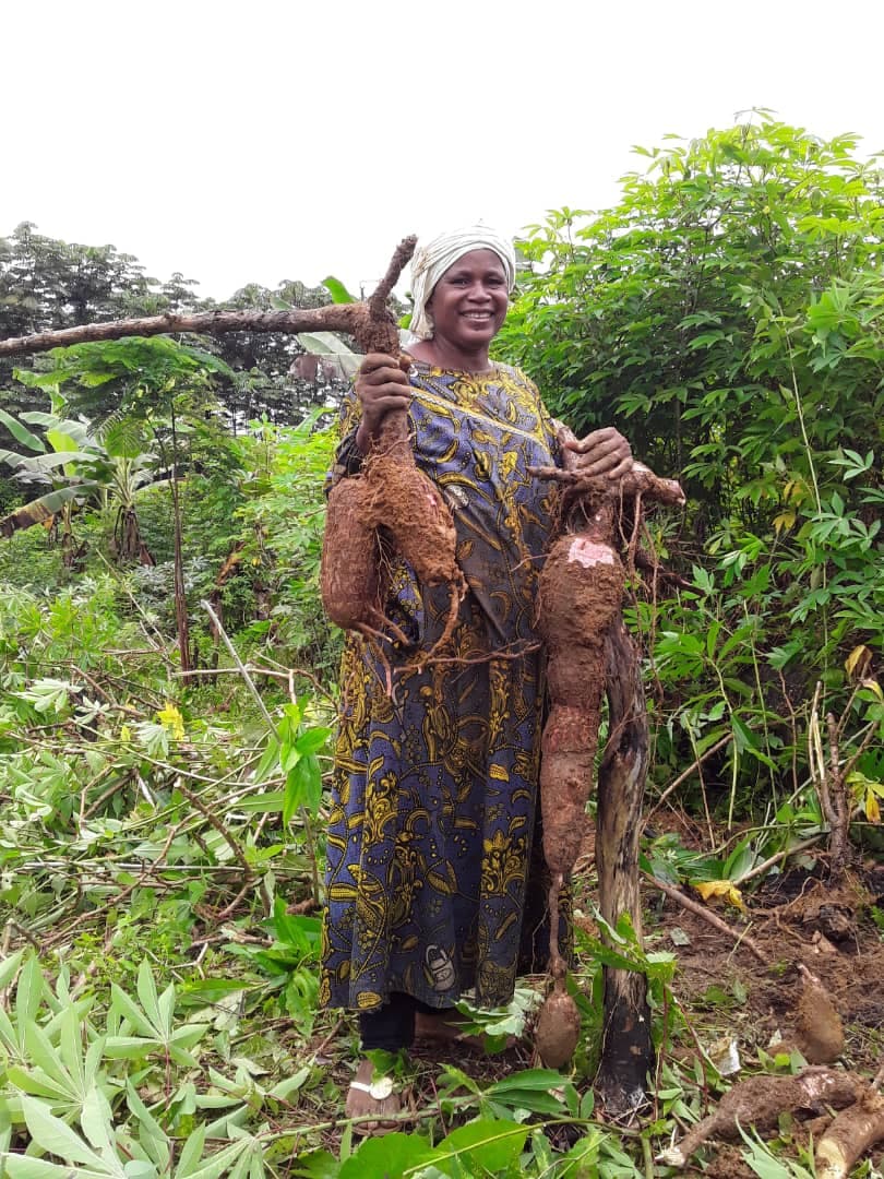Membre de CAPEN présentant des racines de manioc